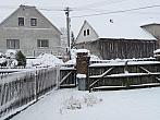 Třibřichy